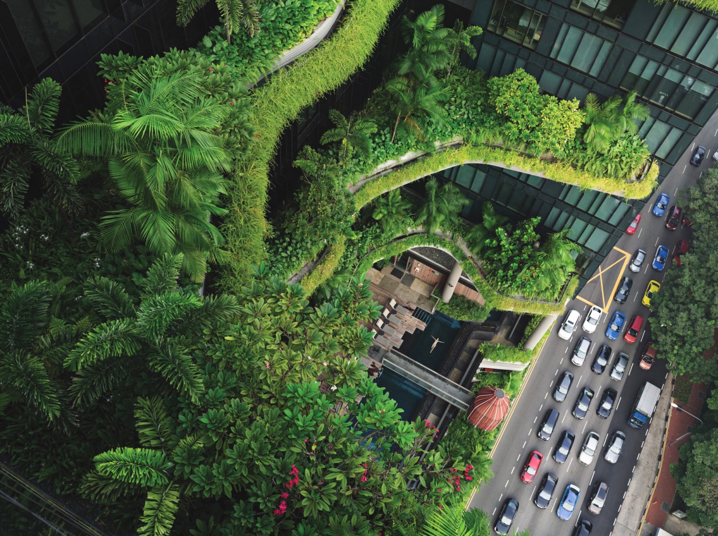 An overhead photograph of a foliage-covered building with a woman floating in a swimming pool, next to a car-filled street.