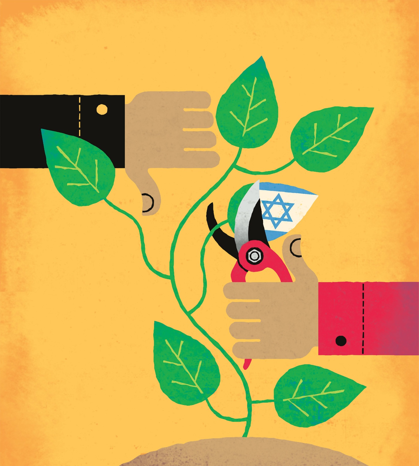 Illustration by Tim Cook of two hands clipping leaves, one with the Israeli flag as a leaf.