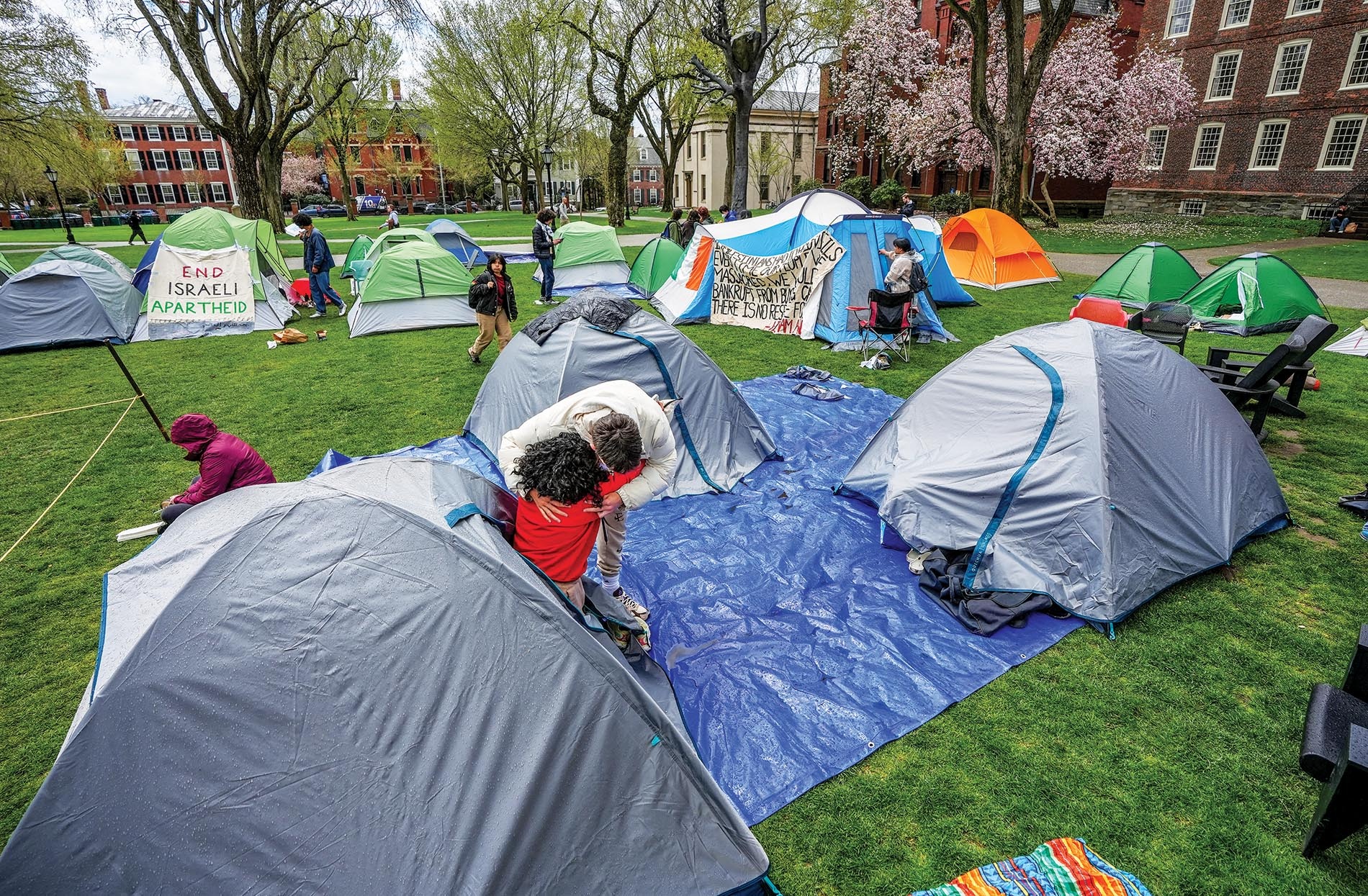 Image of tents, students, and signs on the campus green encampment.