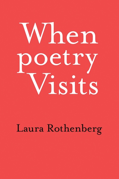 a plain red cover with the title and authors name