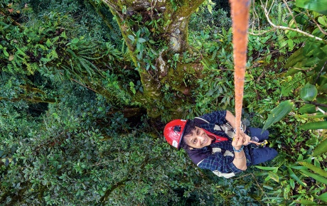 photo of Nalini scaling a rope into the canopy